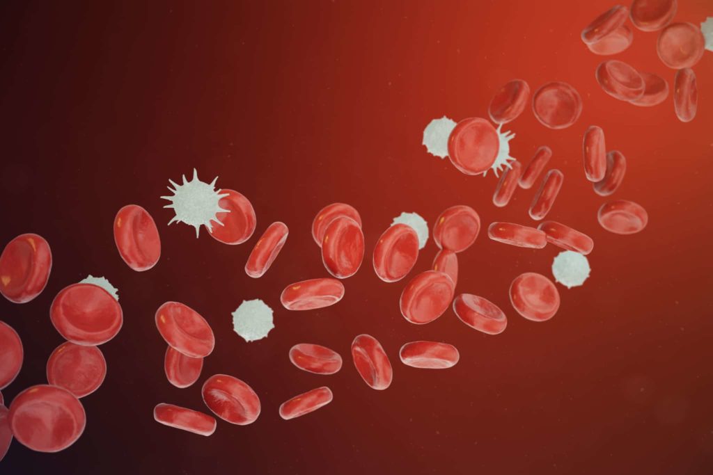 Red and white blood cells releasing neutrophils, eosinophils, basophils, lymphocytes, are the cells of the immune system. 3D illustration